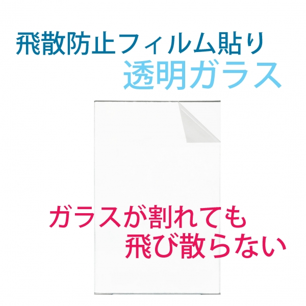 飛散防止フィルム付き　　透明ガラス