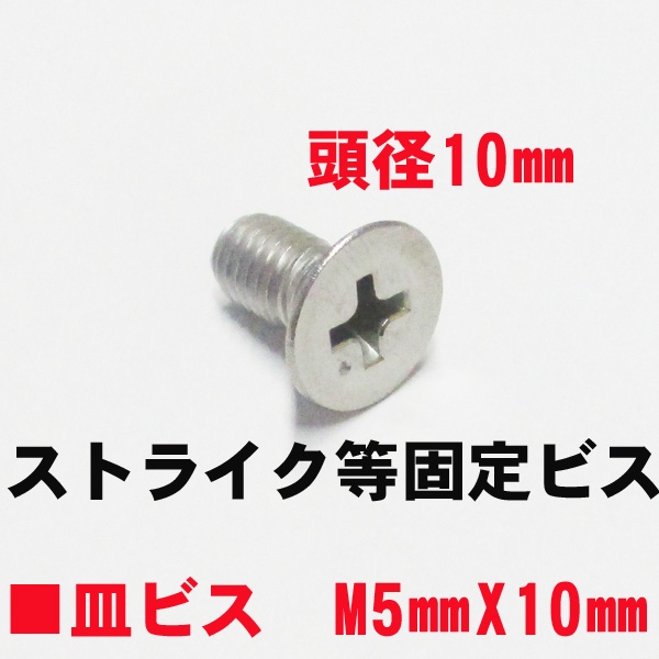 ストライク固定用等ビス　M5X10mm　皿ビス　　　頭径10mm